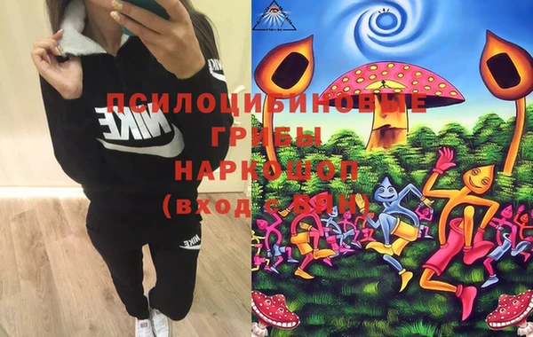ешки Балахна