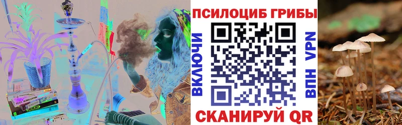 цены наркотик  Бежецк  Галлюциногенные грибы Psilocybine cubensis 